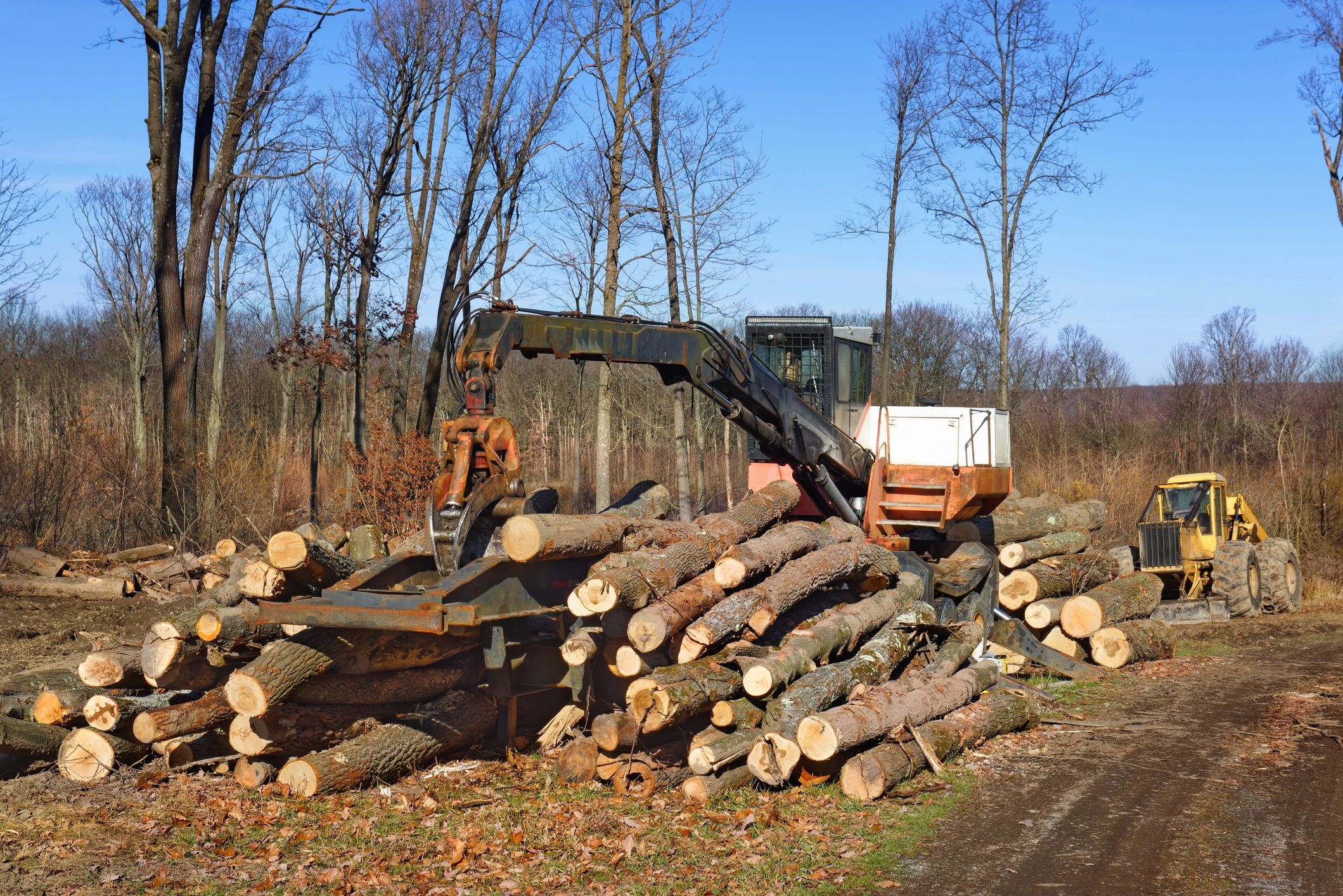Logging and tree handling equipment working on a rural property