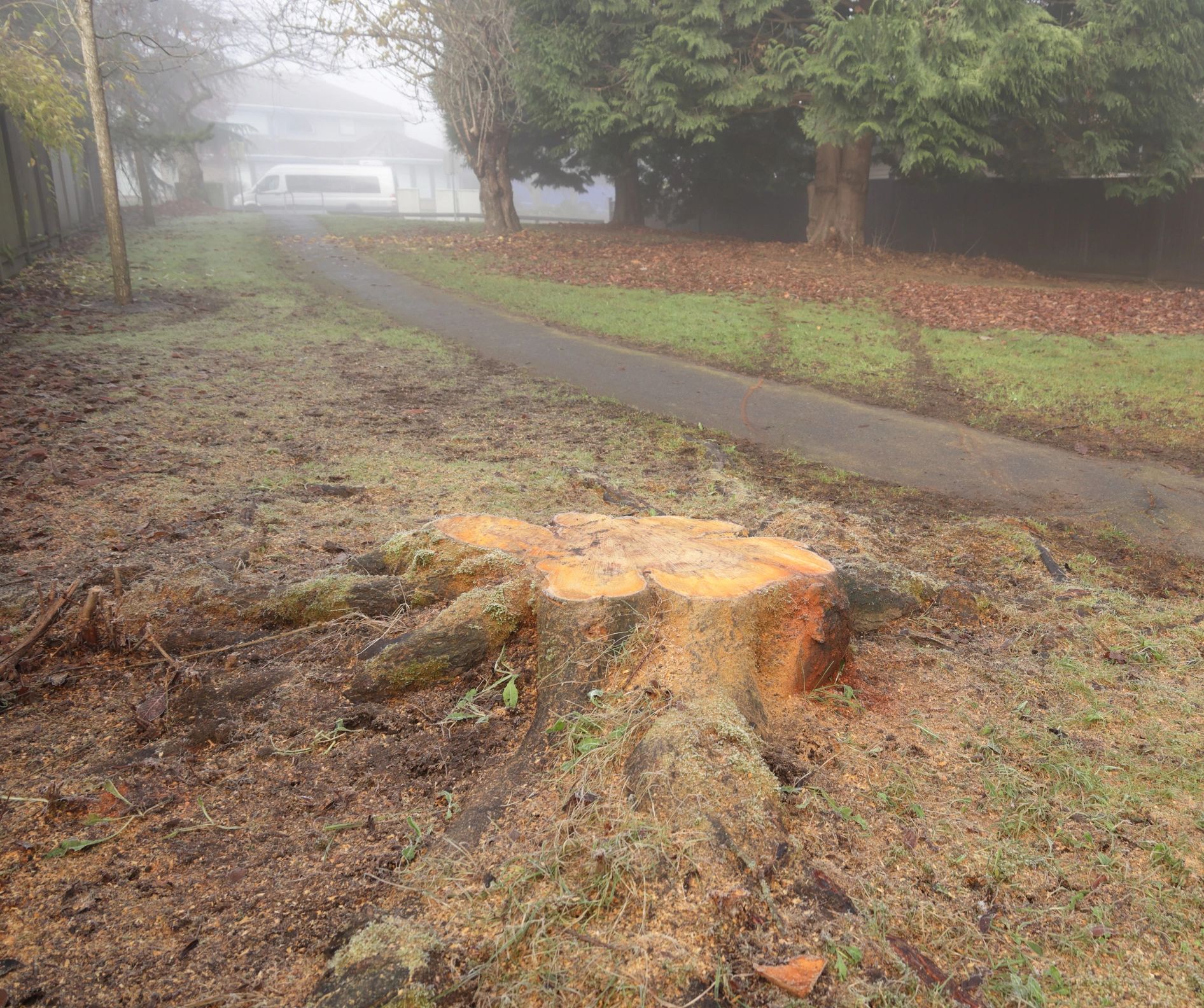 Outdoor area with tree stump after removal work