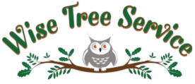 Wise Tree Service